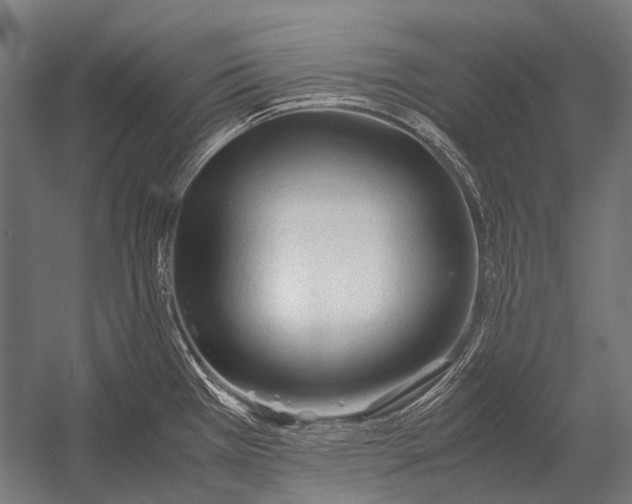 X0000052921385200507292314