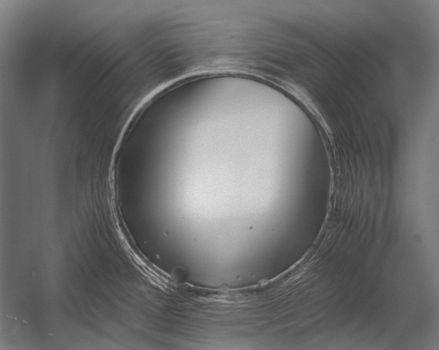 X0000052921388200507292314