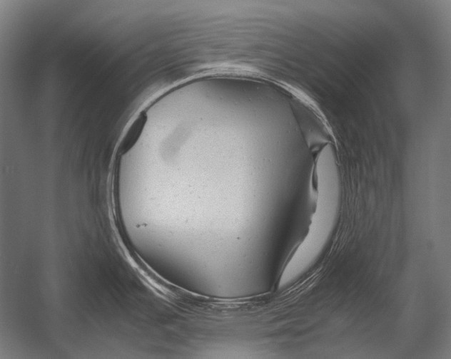 X0000052921391200507292314