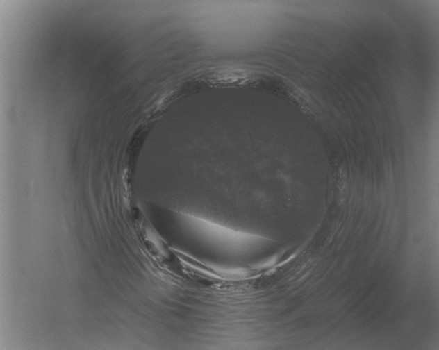 X0000052921394200507292314
