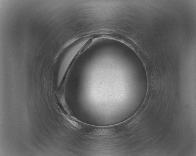 X0000052921402200507292314