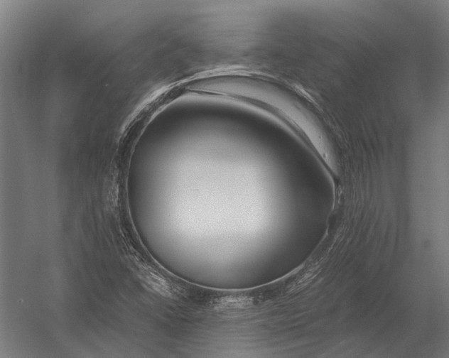 X0000052921406200507292314