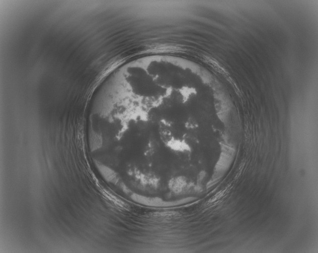 X0000052921425200507292314