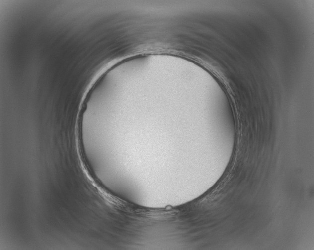 X0000052921440200507292314