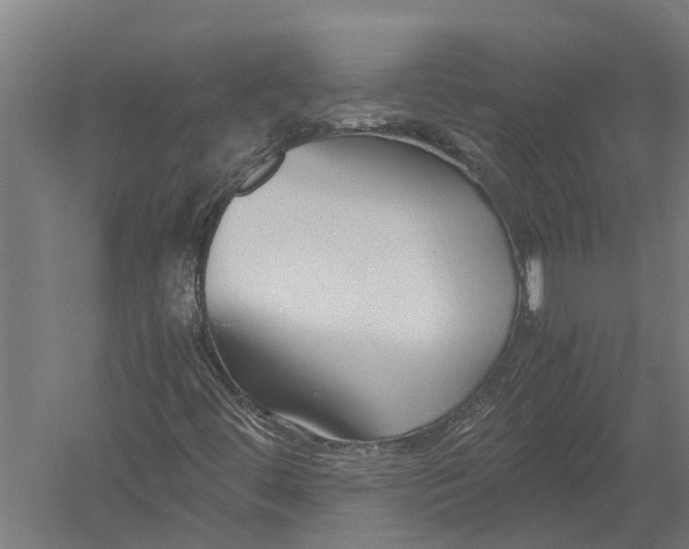 X0000052921444200507292313