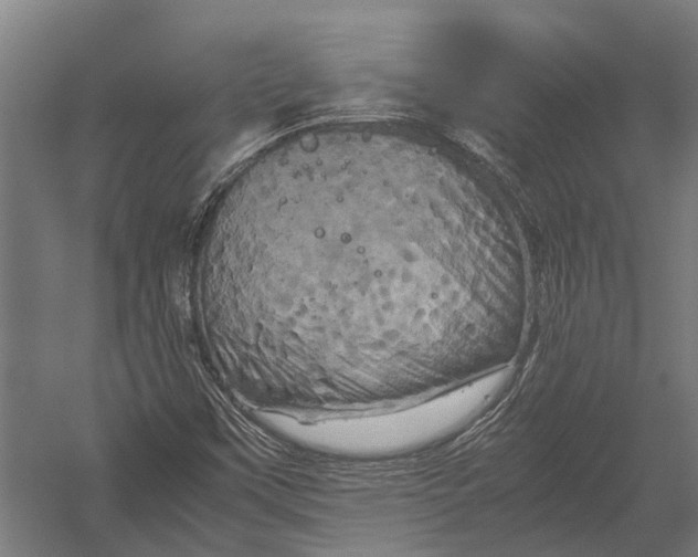 X0000052921451200507292313