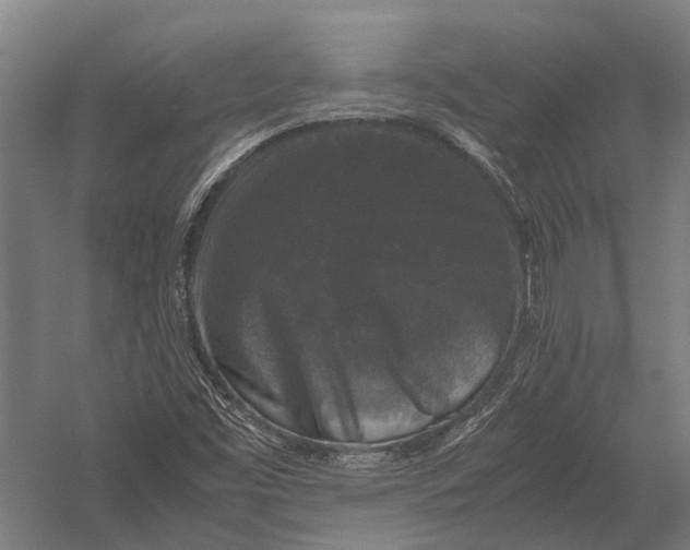 X0000052921453200507292313