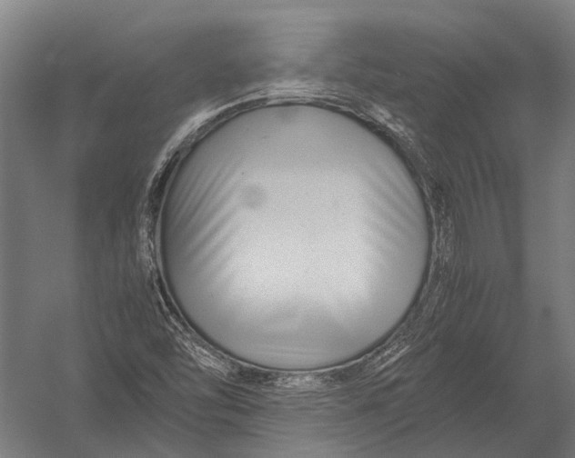 X0000052921454200507292313