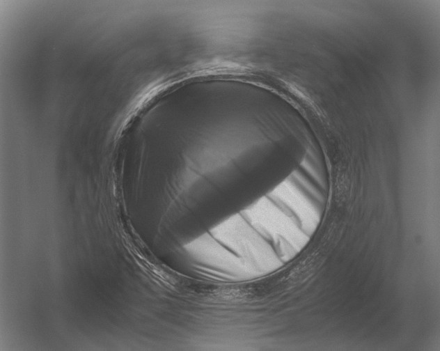 X0000052921455200507292313