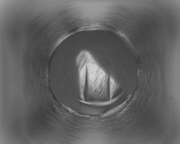 X0000052921457200507292313