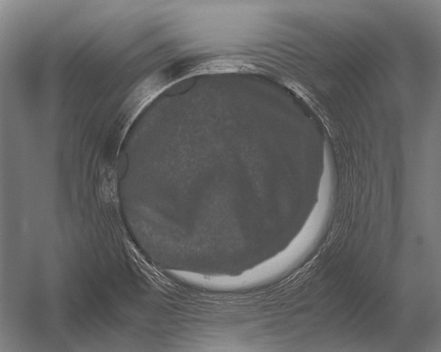 X0000052921465200507292313