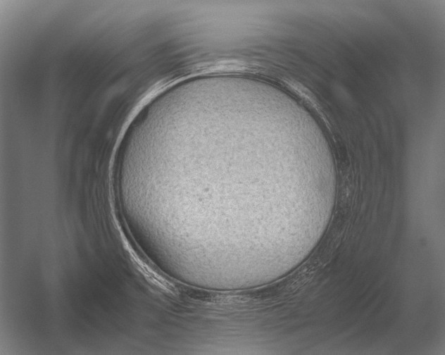 X0000052921475200507292313