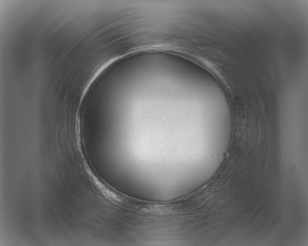 X0000052921476200507292313