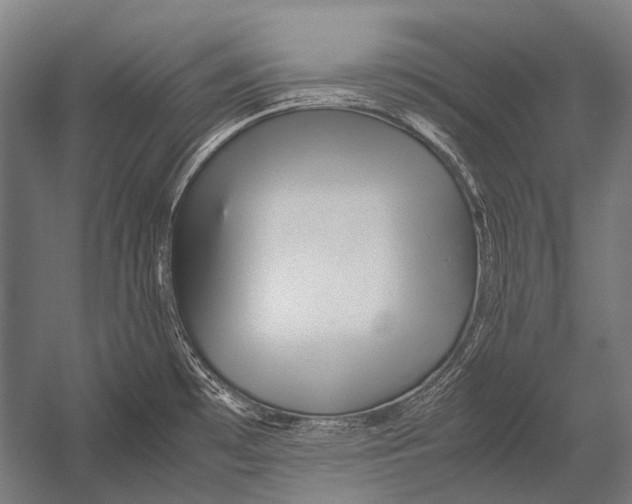 X0000052921481200507292313