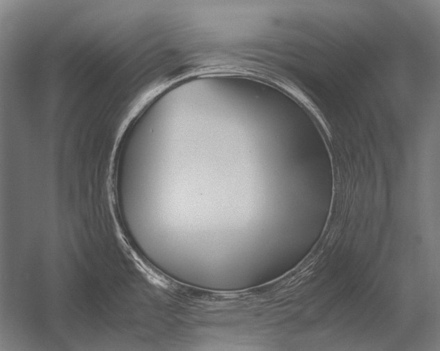 X0000052921485200507292313