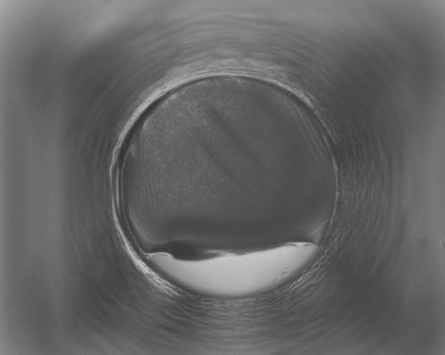 X0000052921515200507292312