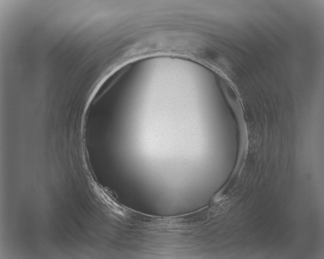 X0000052921532200507292313