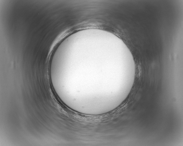 X0000052920004200508050815