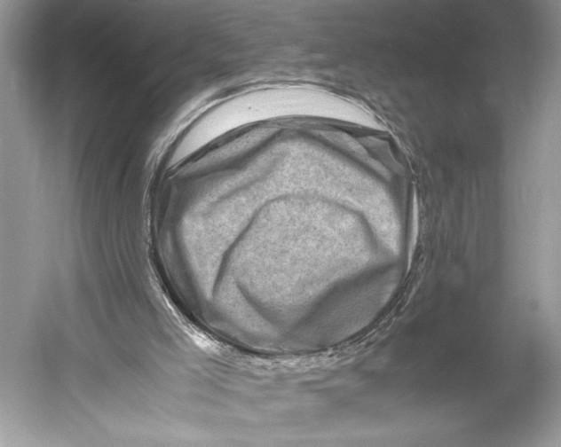 X0000052920005200508050815
