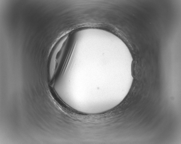 X0000052920011200508050815