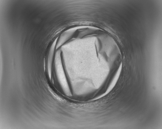 X0000052920013200508050815