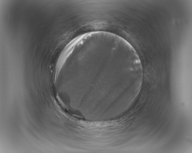 X0000052920018200508050815
