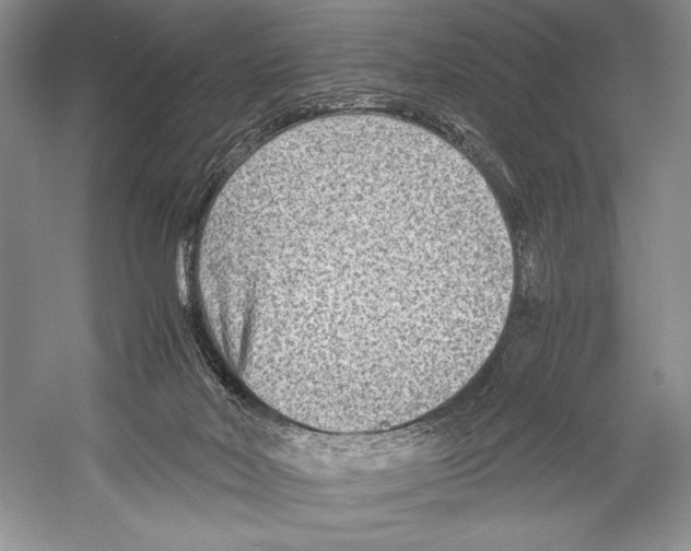 X0000052920026200508050815