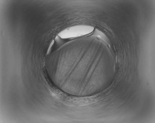 X0000052920029200508050815