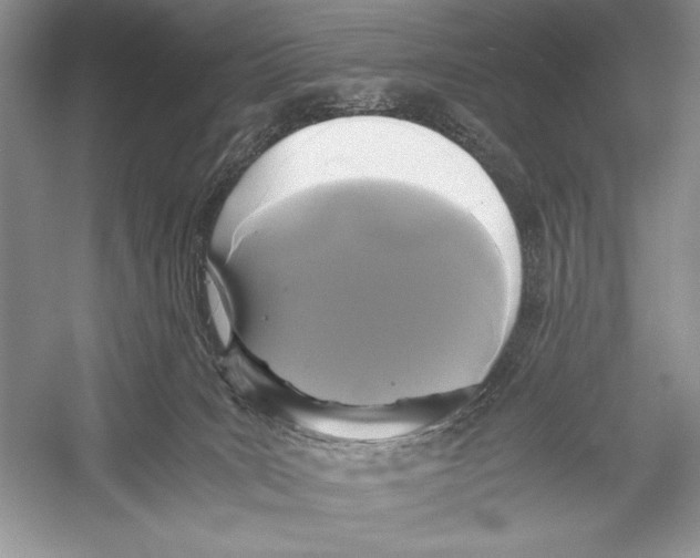 X0000052920035200508050815