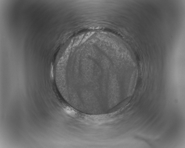 X0000052920041200508050815