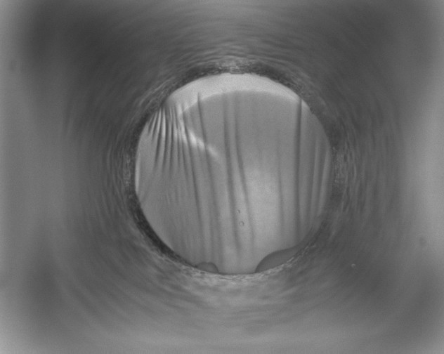 X0000052920043200508050815