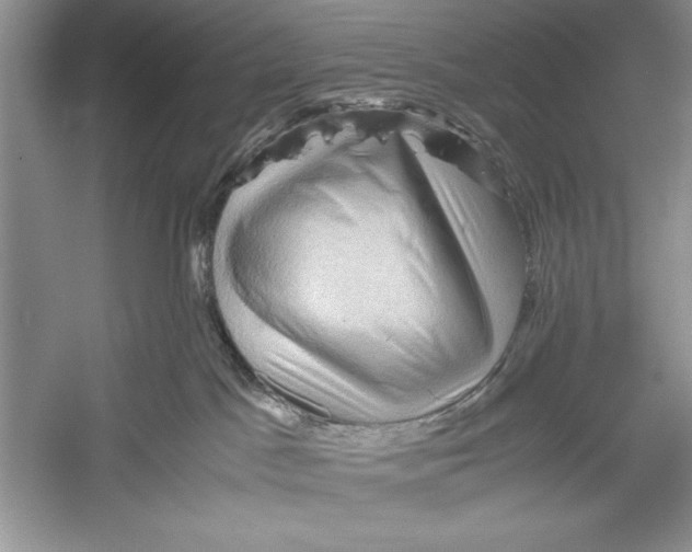 X0000052920045200508050815