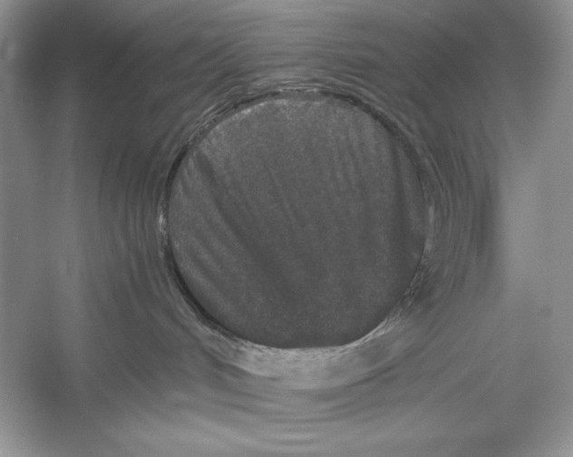 X0000052920048200508050815