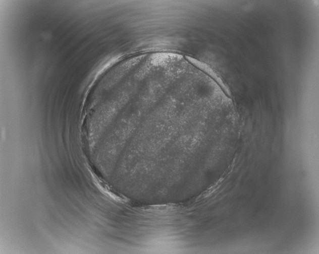 X0000052920050200508050814
