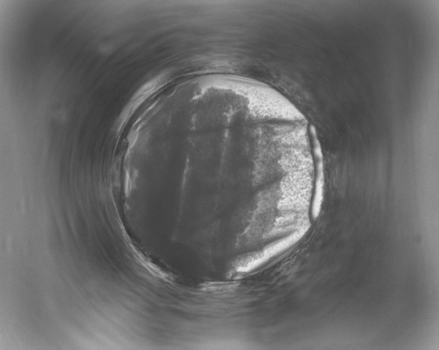 X0000052920051200508050814