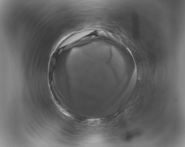 X0000052920052200508050814