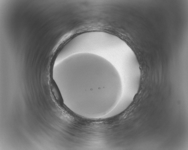 X0000052920054200508050814