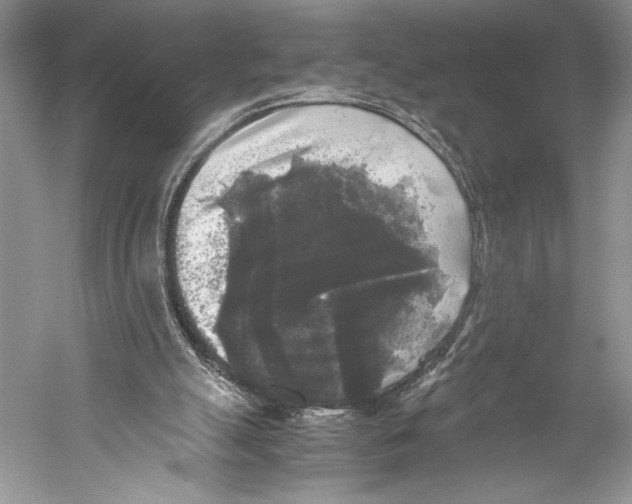 X0000052920055200508050814