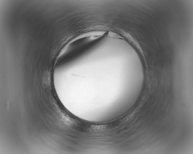 X0000052920057200508050814