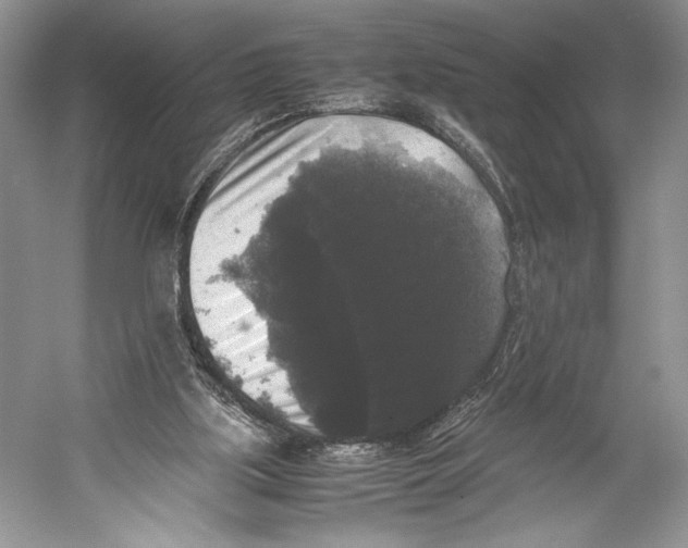 X0000052920059200508050814