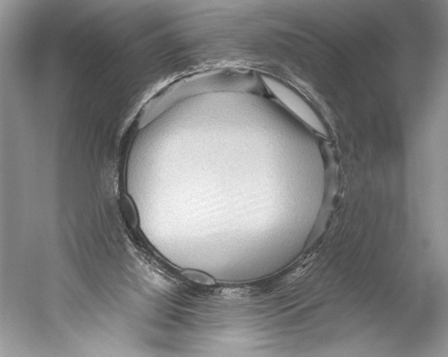 X0000052920060200508050814