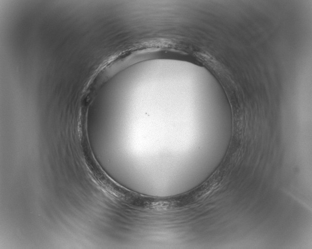 X0000052920064200508050814