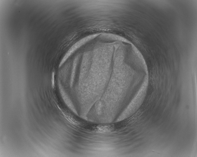 X0000052920070200508050814