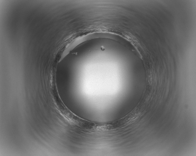 X0000052920072200508050814