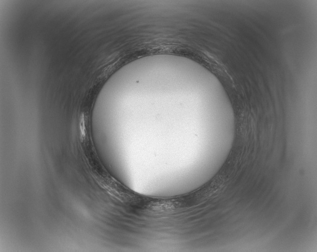 X0000052920075200508050814
