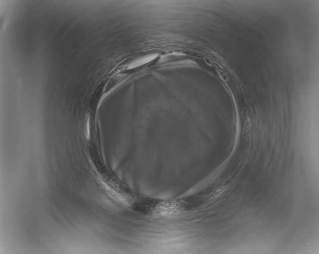 X0000052920076200508050814