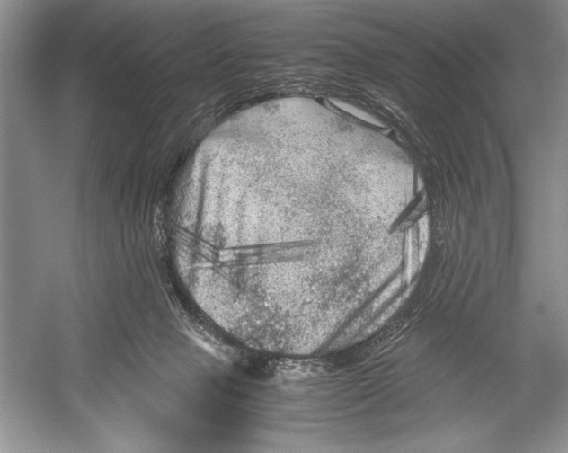 X0000052920077200508050814