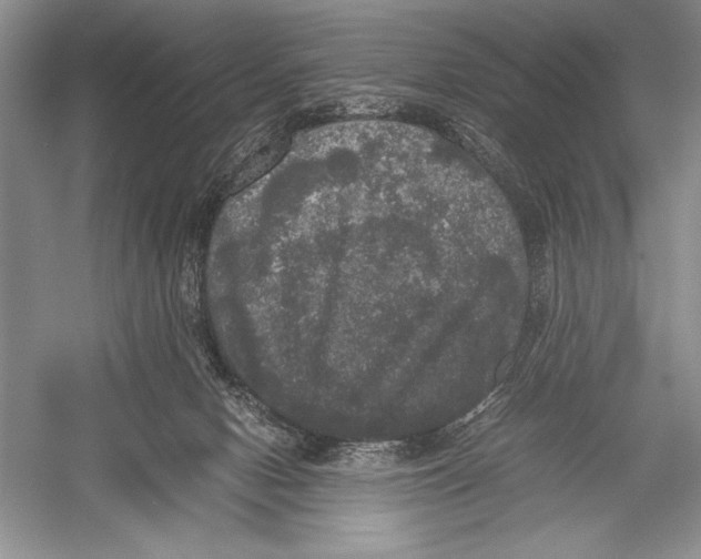 X0000052920078200508050814