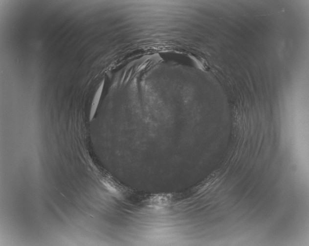 X0000052920080200508050814