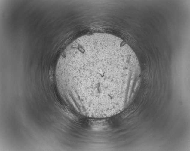 X0000052920081200508050814